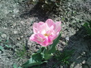 DSC02115