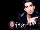 Adam-Wallpaper-adam-lambert-9604949-1600-1200
