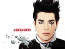 Adam-Wallpaper-adam-lambert-9604965-1600-1200