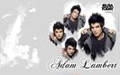 Adam-Wallpaper-adam-lambert-9744688-1680-1050