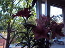 DSC01133