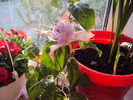 DSC01135