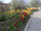 IM0001623