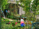 DSC02658