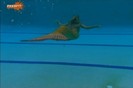h2o season 3 (94)