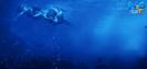 h2o season 3 (129)