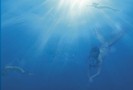 h2o season 3 (142)
