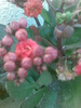 Imag004