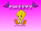 tweety7