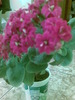 Imag034