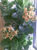 Imag035