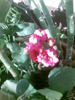 Imag027