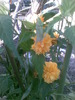Imag028