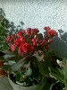 Imag021