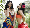 bella twins