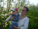 Horia si mamy