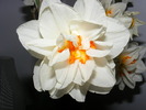 2010_0422(001)