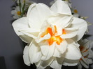 2010_0422(003)