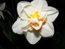 2010_0424(028)