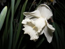 2010_0424(034)