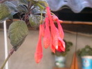 Picture 012