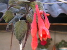 Picture 013