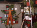 Picture 029