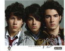 Jonas_brothers
