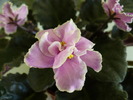 P1250393