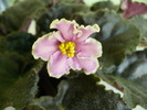 P1250396