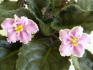 P1250397