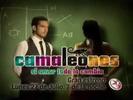 Camaleones