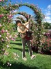 elizabeth_park_rose_garden_600x