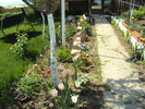 DSC01201