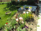 DSC01205