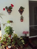 DSC01206