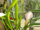 DSC01208