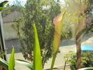 DSC01209