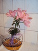DSC01213