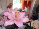 DSC01218