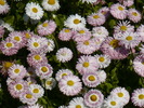 P1250604