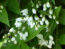 P1250669