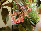 P1250691