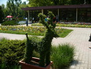 P1250729