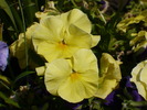 P1250764