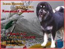 romania_campion