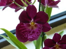 P1250798