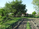 SDC10314
