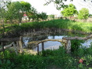 SDC10317