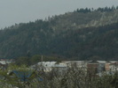 1 mai 2010 011